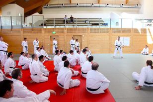 seibukan_2_OEKB_Tag_Trainerfortbildung_2010_006.jpg