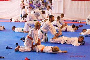 seibukan_5_Intern_Kamikaze_Sommercamp_Neuhofen_2013_058.jpg