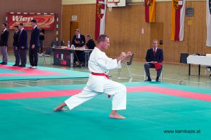 seibukan_Askoe_Bundesmeisterschaft_Wien_2013_013.jpg