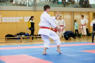 seibukan_Askoe_Bundesmeisterschaft_karnten_2016_026.jpg