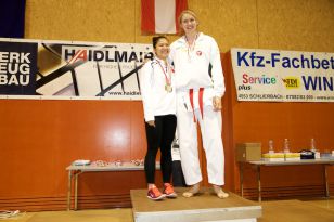 seibukan_Askoe_Landesmeisterschaft_in_Linz_Kirchdorf_2015_269.jpg