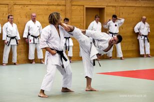 seibukan_Dan_Pruefung_im_Budokan_2014_059.jpg