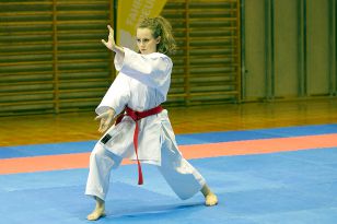 seibukan_Intern_Lions_Cup_Lustenau_2013_021.jpg