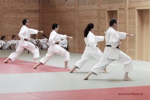 seibukan_Kyu_und_Dan_Pruefung_2014_150.jpg