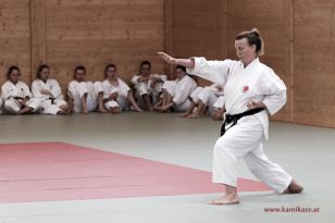 seibukan_Kyu_und_Dan_Pruefung_2014_153.jpg