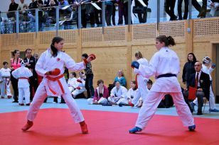 seibukan_OOE_Landesmeisterschaft_2011_105.jpg