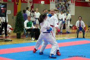 seibukan_Oesterr_Staatsmeisterschaft_und_OEM_in_Wels _2015_130.jpg