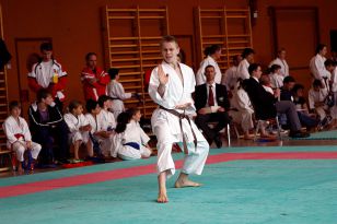 seibukan_Shotokan_Cup_2010_009.jpg