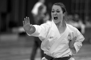 seibukan_Styrian_Open_Fuerstenfeld_2014_081.jpg