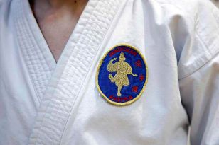 seibukan_VIII_Oesterr_Goju_Ryu_Wado_Ryu_Meisterschaft_2010_024.jpg