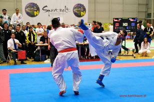 seibukan_WADO_KAI_Europameisterschaft_2012_213.jpg