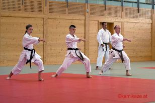 seibukan_pruefung_budokan_2016_005.jpg
