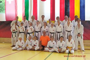 seibukan7_Internationales_Kamikaze_Sommercamp_2015_268.jpg