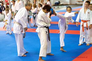 seibukan_5_Intern_Kamikaze_Sommercamp_Neuhofen_2013_169.jpg