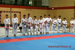 seibukan_Askoe_Landesmeisterschaft_2014_007.jpg