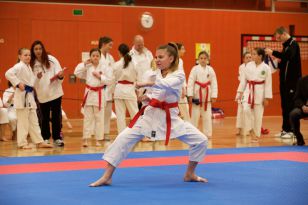seibukan_Askoe_Landesmeisterschaft_in_Linz_Kirchdorf_2015_073.jpg
