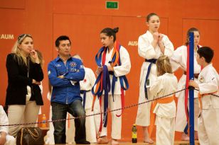 seibukan_Askoe_Landesmeisterschaft_in_Linz_Kirchdorf_2015_098.jpg