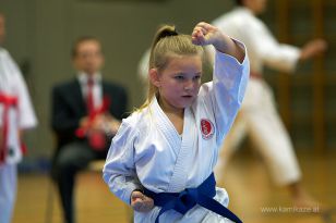 seibukan_Askoe_OOEKarate_Landesmeisterschaft_2013_017.jpg