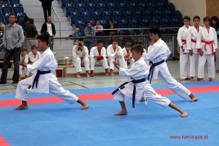 seibukan_Askoe_OOE_LM_Steyr_2012_082.jpg
