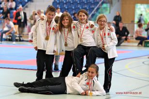 seibukan_Askoe_OOE_LM_Steyr_2012_142.jpg