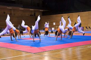 seibukan_Croatien_Open_2010_015.jpg