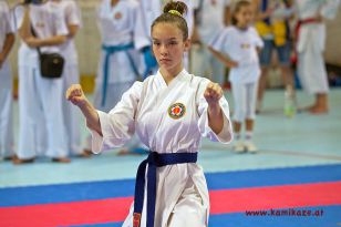 seibukan_Intern_Huegelland_Cup_2012_070.jpg