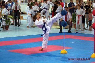 seibukan_Intern_Huegelland_Cup_2012_080.jpg