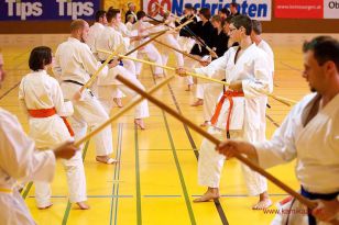 seibukan_KAMIKAZE_Sommercamp_Neuhofen_Krems_2012_152.jpg