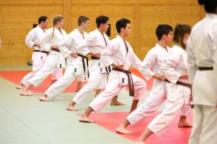 seibukan_Kyu_u_Dan_Pruefung_OOELV_im_Budokan_2014_012.jpg