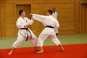 seibukan_Kyu_und_Dan_Pruefung_2011_021.jpg
