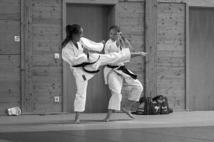 seibukan_Kyu_und_Dan_Pruefung_des_OKB_im_Budokan_2013_117.jpg