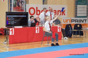 seibukan_Landesmeisterschaft_2016_042.jpg