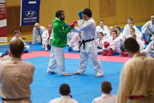 seibukan_Lehrgang_mit_Rafael_Aghayev_2013_032.jpg