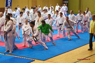 seibukan_Lehrgang_mit_Rafael_Aghayev_2013_035.jpg