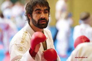 seibukan_Lehrgang_mit_Rafael_Aghayev_2013_076.jpg