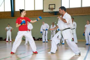 seibukan_Niederoeblarn_2014_018.jpg