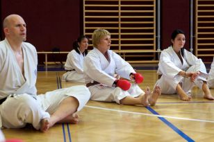 seibukan_OEKB_Tag_Wels_2011_020.jpg