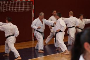 seibukan_OEKB_Tag_Wels_2011_078.jpg