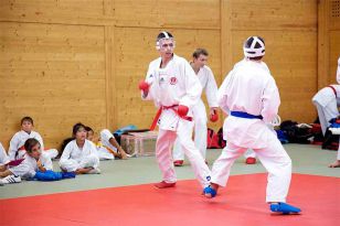 seibukan_OOE_Junioren_Landesmeisterschaft_Wels_2009_054.jpg