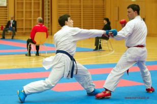 seibukan_Oesterr_Sen_Stadtsmeisterschaft_2013_096.jpg
