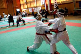 seibukan_Shotokan_Cup_2010_053.jpg