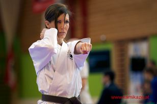 seibukan_oesterreichische_Staatsmeisterschaft_2016_026.jpg