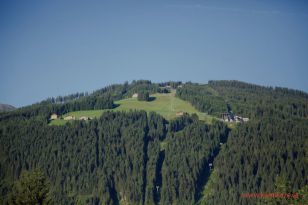 1500892027-wagrein173.jpg