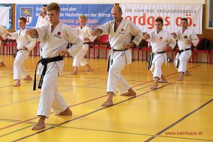 seibukan_5_Intern_Kamikaze_Sommercamp_Neuhofen_2013_222.jpg