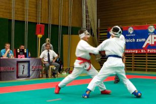 seibukan_Askoe_Bundesmeisterschaft_2010_083.jpg