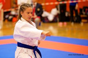 seibukan_Askoe_Bundesmeisterschaft_Kirchdorf_2012_029.jpg