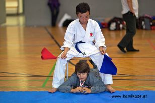 seibukan_Askoe_Landesmeisterschaft_Linz_Auhof_2011_068.jpg