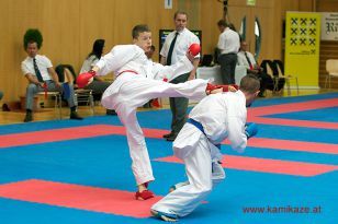 seibukan_Austria_Junior_Open_Walserfeld_2014_096.jpg