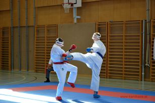 seibukan_Goju_u_Wado_OEM_Steyr_2012_041.jpg