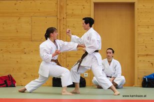 seibukan_Kyu_und_Dan_Pruefung_2013_044.jpg